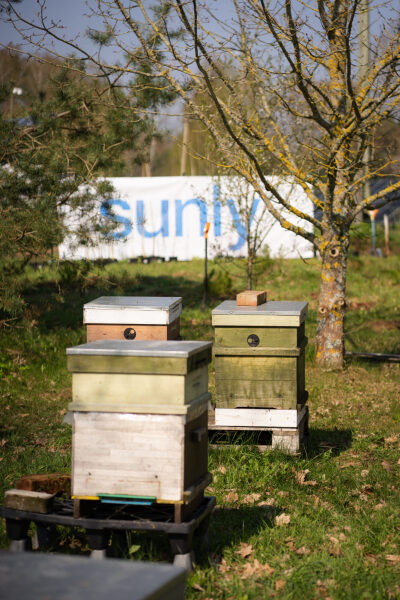 Sunly Latvijā apzaļumo vienu no saules parkiem Iecavas pagastā